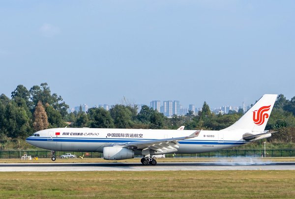 How Can You Immerse Yourself in the UK's Vibrant Music Festivals?